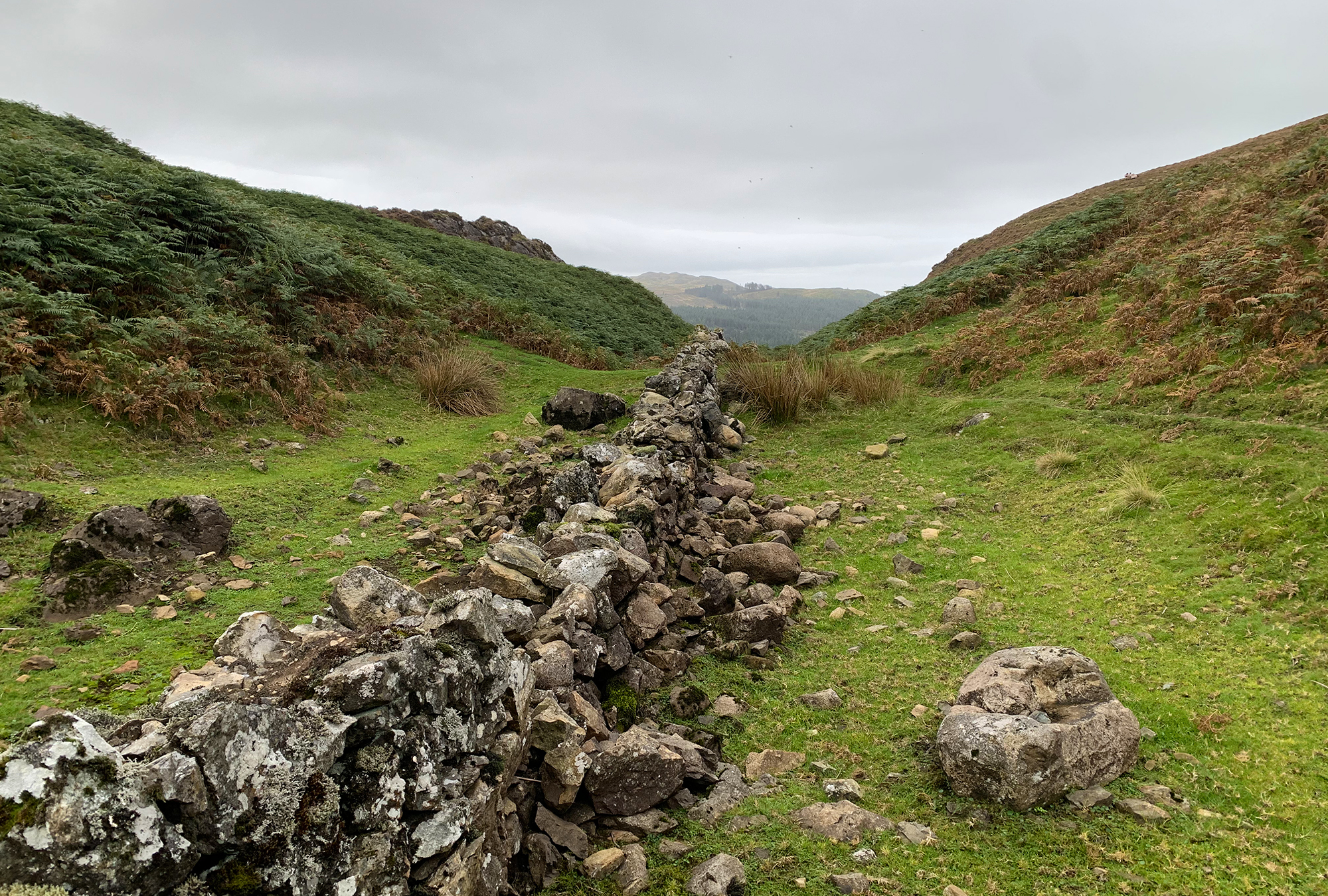 Cooley Mountains