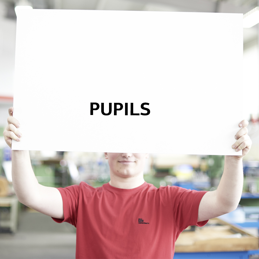 Career Grenzebach - Pupils