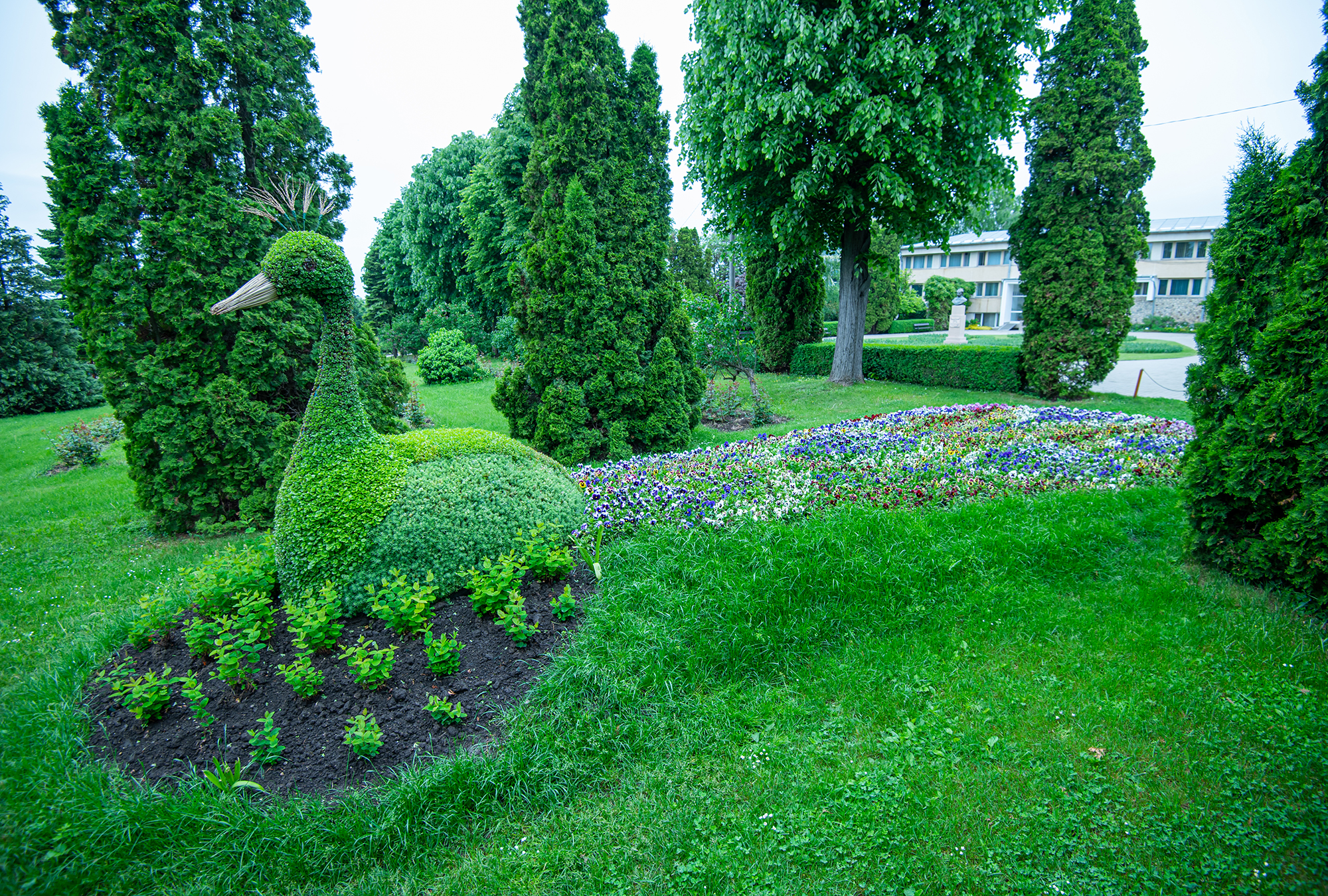 Botanischer Garten in Iasi