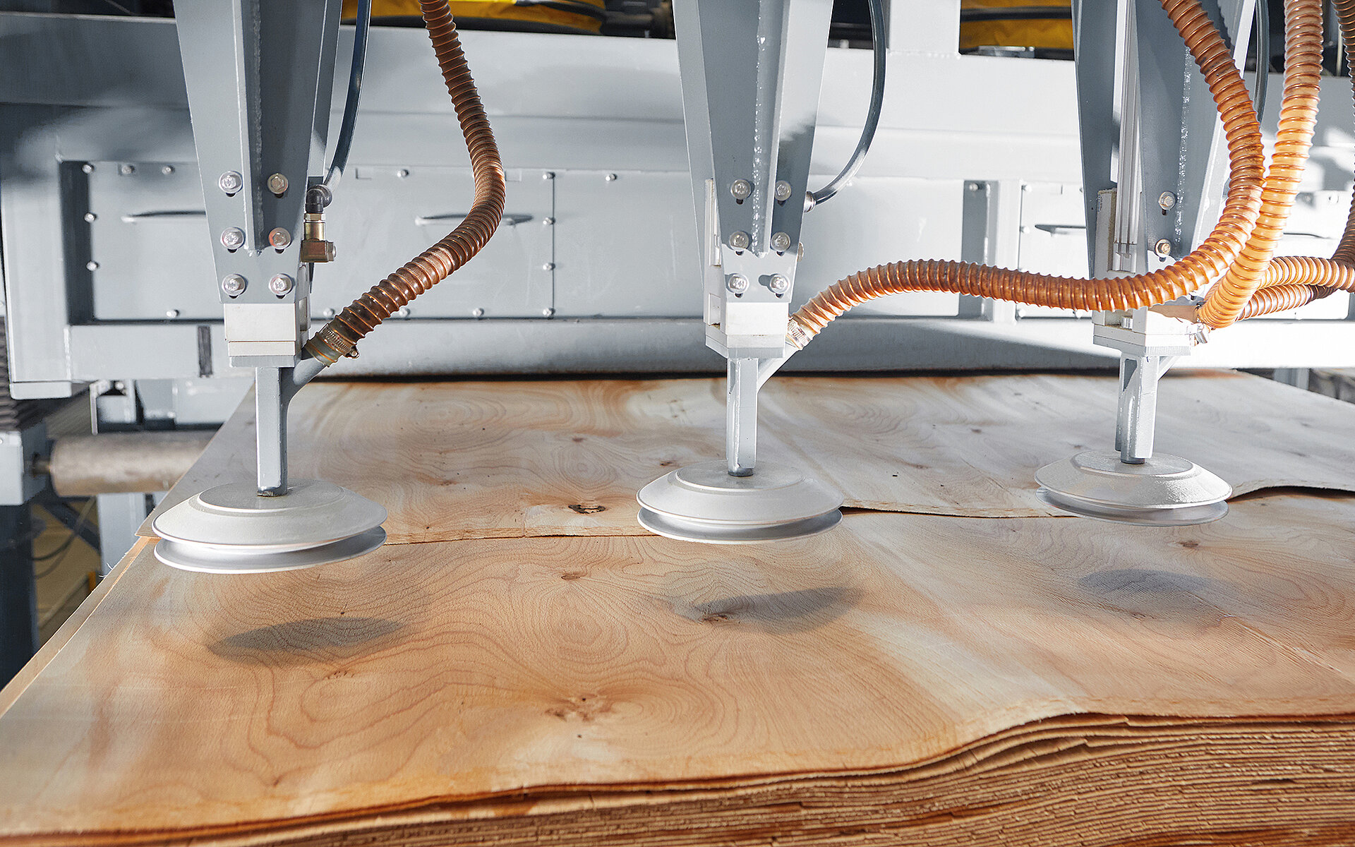 Grenzebach hat jahrelange Erfahrung in Holzproduktionstechnologien