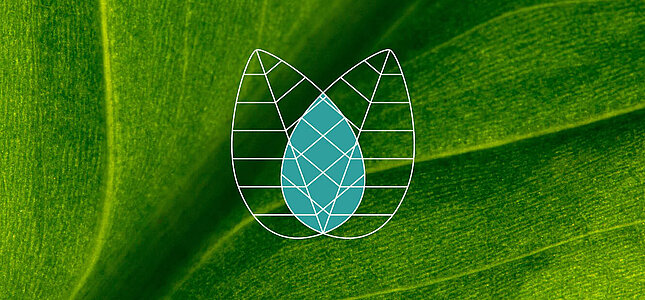 Green transformation with responsibility