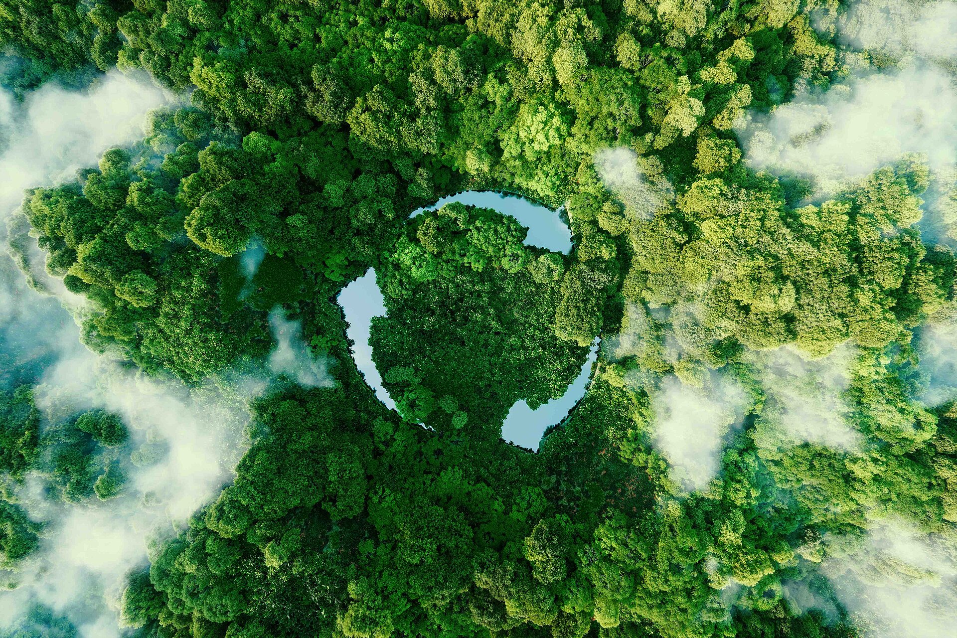 Sustainable solutions for the environment and the future