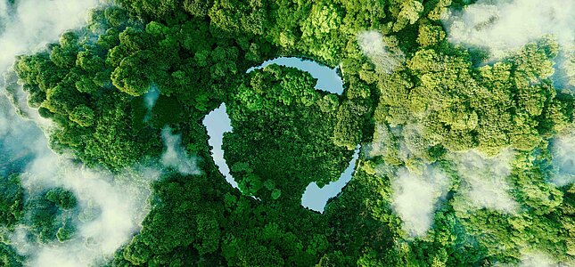 Sustainable solutions for the environment and the future