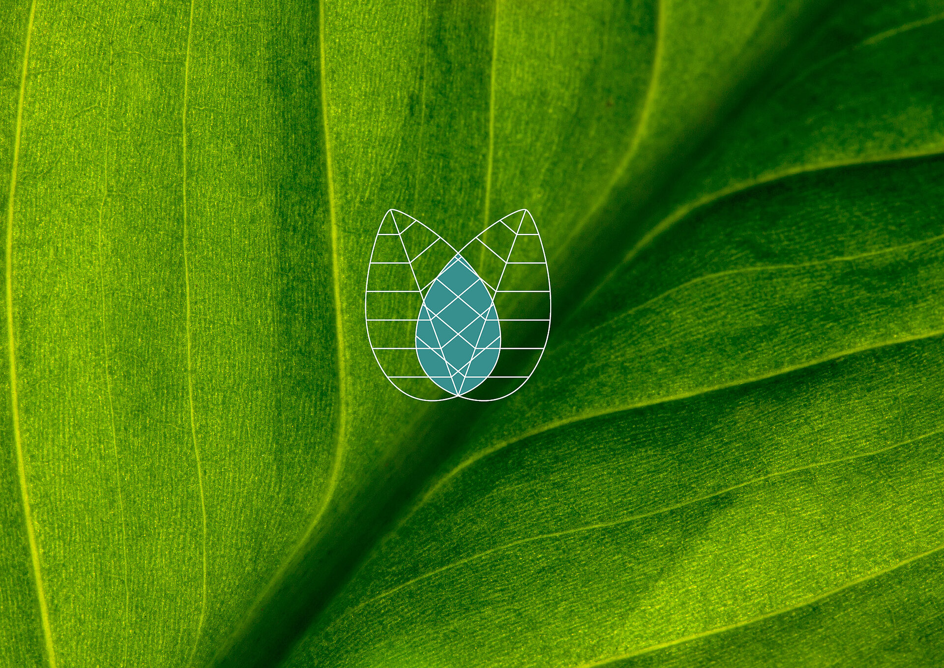 Sustainability and corporate governance at Grenzebach